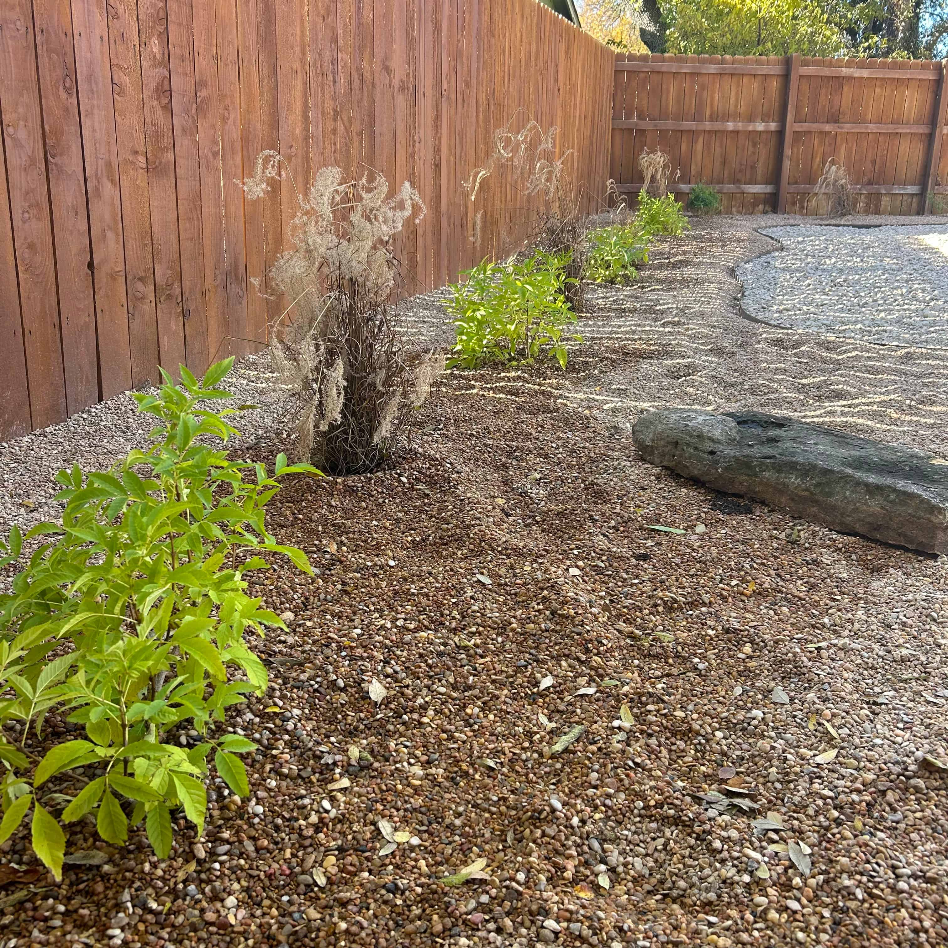 Native Plants Planting image