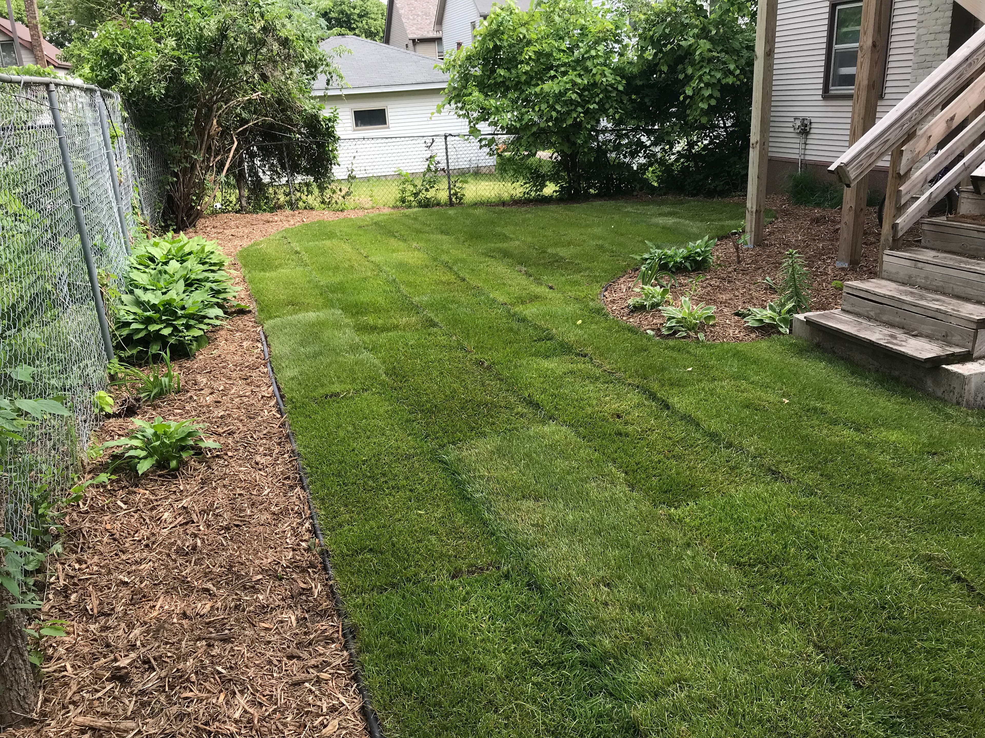 Well-maintained lawn with newly laid sod, surrounded by mulch and plant beds. Garden area.