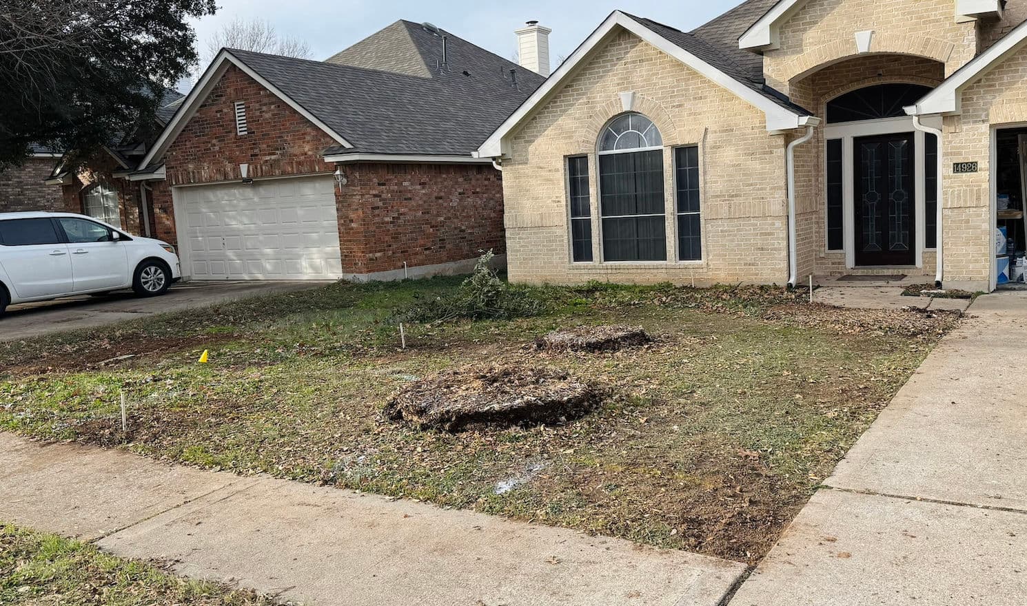 Yard with removed tree stumps, newly cleared grass, and brick house facade in background.