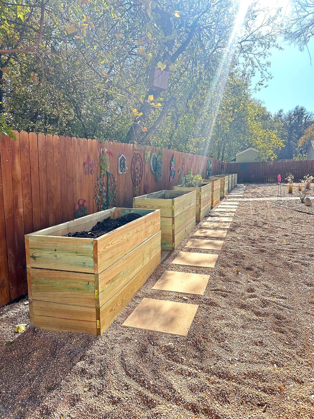 Raised garden beds in a sunny backyard with gravel pathways and a wooden fence.
