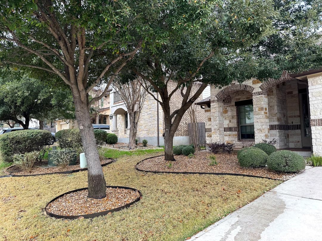 Landscaped front yard featuring trees, shrubs, and stone pathway in a residential area.