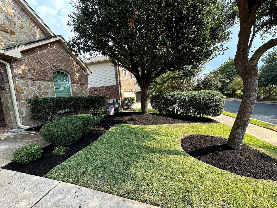Lush front yard landscaping with trimmed bushes and fresh mulch under trees and manicured grass.