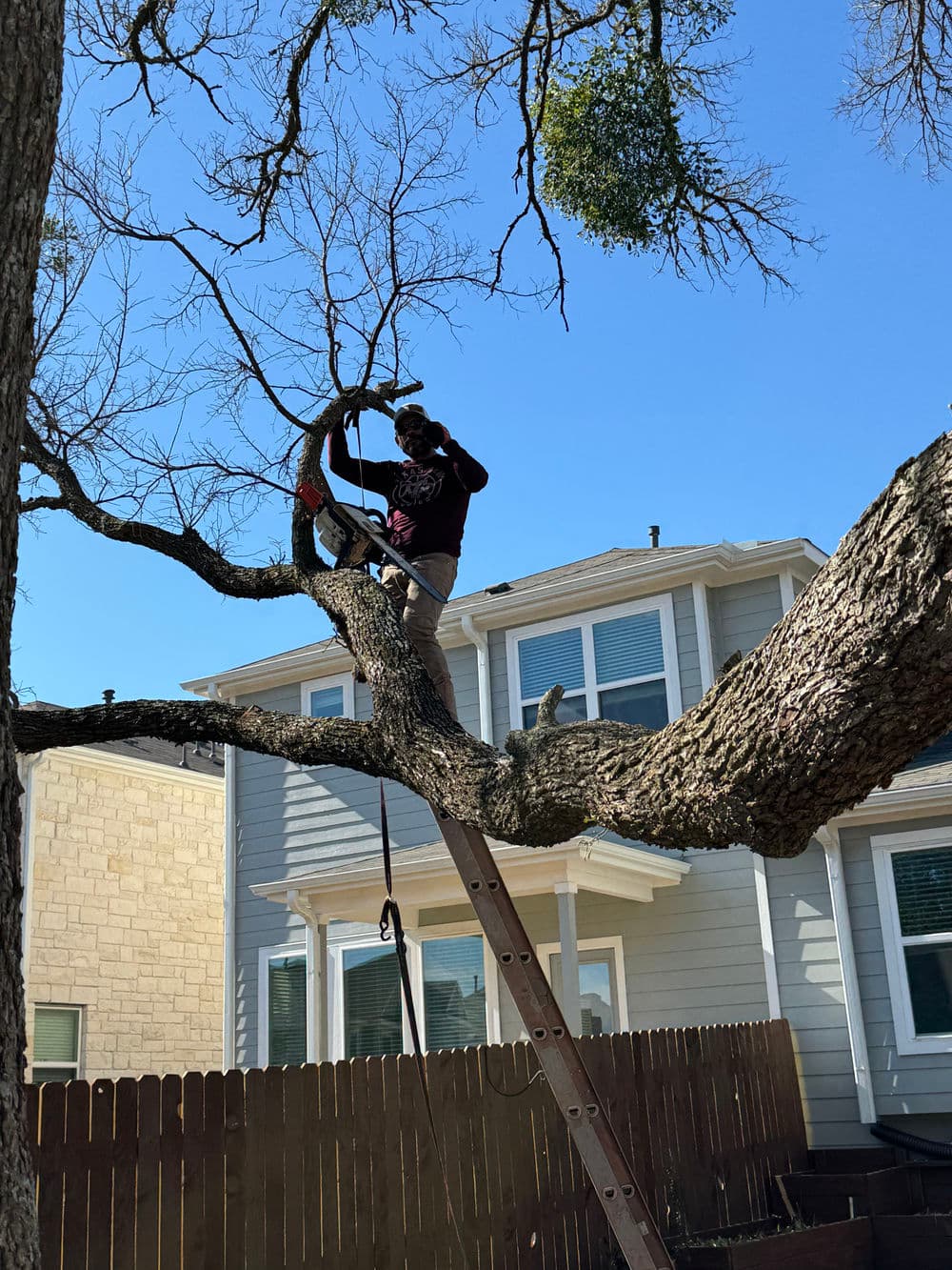 Gallery photos for Backyard Renovation in Leander, Tx: Image #4