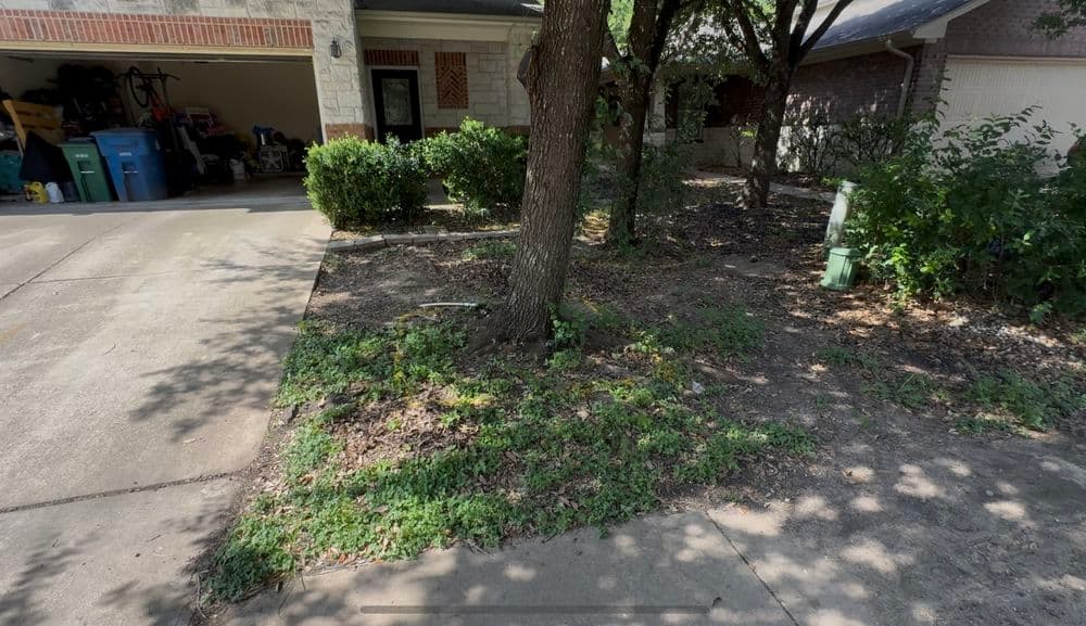 Gallery photos for Front Yard Transformation in Pflugerville, Tx: Image #1