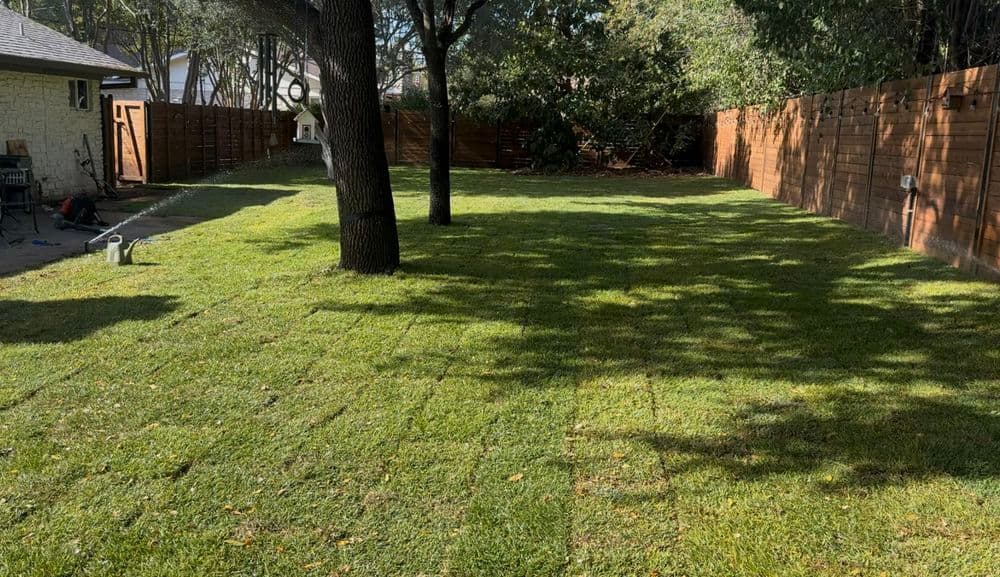 Project Backyard Transformation in Georgetown, Tx image