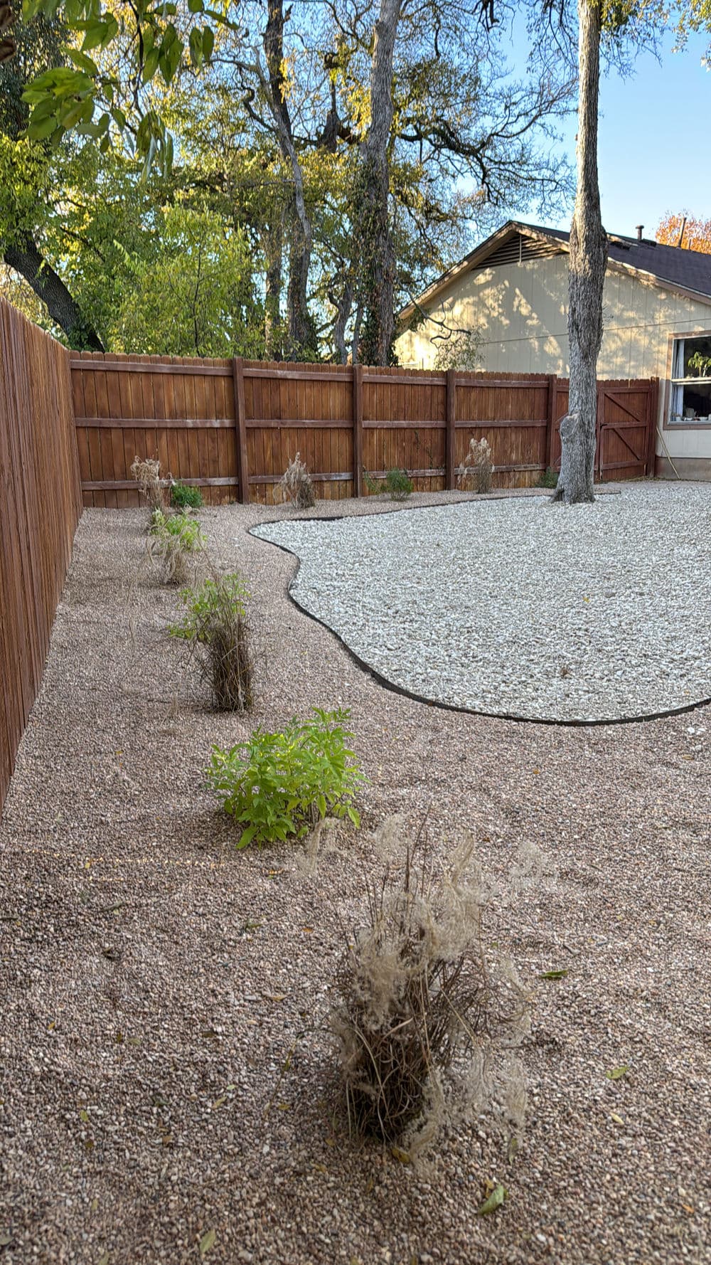 Gallery photos for Backyard Makeover in South Austin, Tx: Image #4